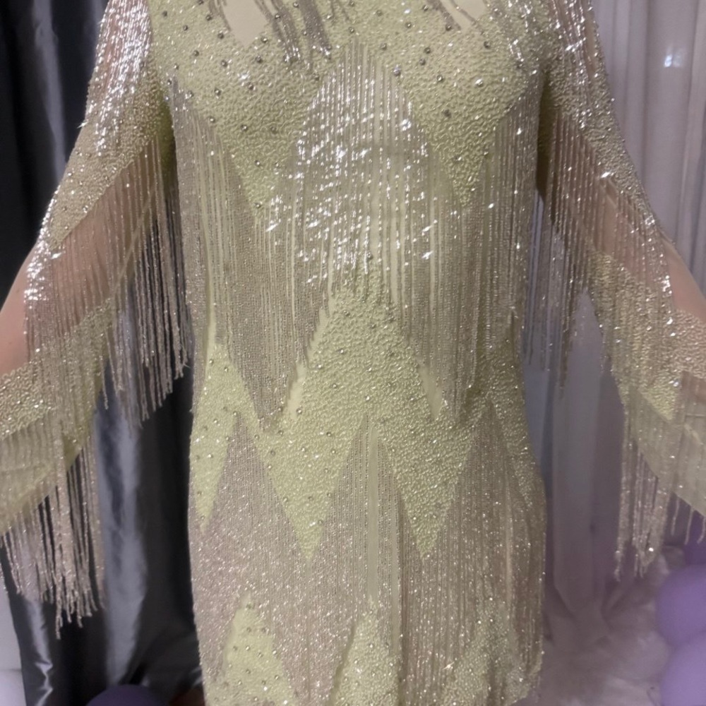 Rachel Gilbert Sequin Long Sleeve Dress in Cream and Silver - Picture 9 of 12